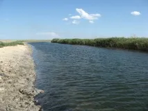 Відпочинок з дітьми на Сиваші особистий досвід, корисні рекомендації дітьми