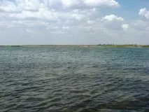 Відпочинок з дітьми на Сиваші особистий досвід, корисні рекомендації сиваші