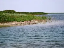 Відпочинок з дітьми на Сиваші особистий досвід, корисні рекомендації сиваші