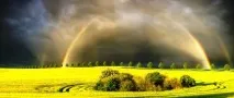 Усвідомлення шляху та Дао усвідомлення