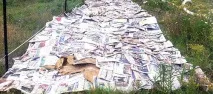 Освоєння цілинної ділянки, мій досвід, Головний клуб - 3320707 освоєння