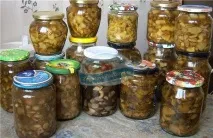 Смачні рецепти смажених грибів на зиму з покроковими фото смажених