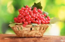 Вітокан – рослинний препарат для лікування мастопатії вітокан