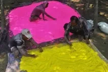 colors holi