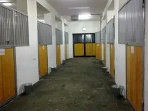 ветеринарни лекари препятствия препятствия