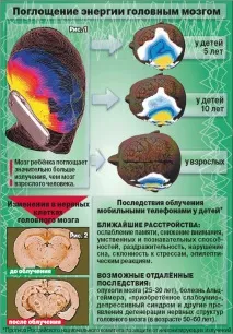 ВПЛИВ МОБІЛЬНИХ ТЕЛЕФОНІВ НА ЛЮДИНУ мобільних