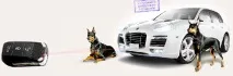Вся правда про гарантію на нові дилерські автомобілі при установці автосигналізації StarLine - гарантію