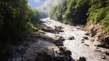 ярък видео
