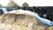 Заготівля кормів із високим вмістом енергії вмістом