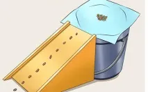 Хом’як втік із клітки клітки