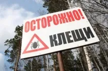 Взяли у кліщі кліщі
