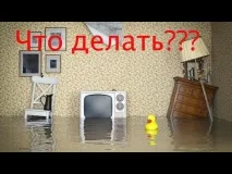 Затока квартири – порядок дій, якими законами регулюється допомога юриста чи адвоката якими