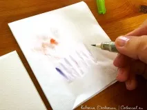 катерина четка