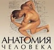 Здоровий Образ Життя - за і проти на шляху до успіху проти