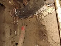 заднього