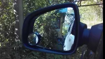 поставени мъртви