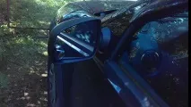 мъртви мъртви