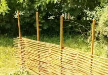 5 нестандартних ідей у ландшафтному дизайні ідей