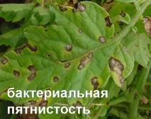 болести болести