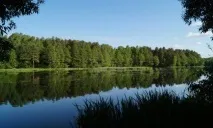 Агросадиба в Могилевській області - зняти садибу за низькою ціною агросадиба