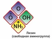 запах