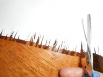 носна апликация