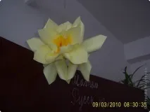 всякого