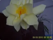 березня