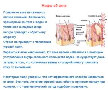 лицето снимка