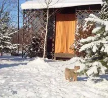 вашият алпийска