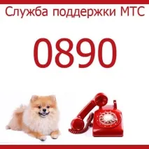 карта всички