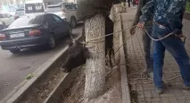 джерел