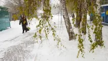 ботаниците разказаха