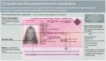 кучер