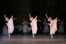 sylphide силфид