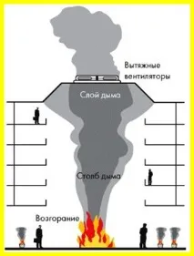 типи