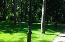 Влаштування рулонного газону газону