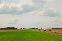Влаштування рулонного газону газону