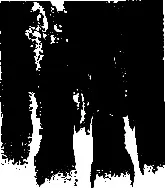 зуба