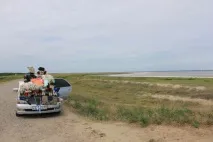 алтаї