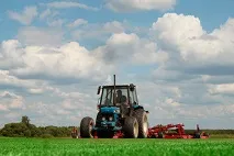 Влаштування рулонного газону газону