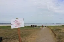 ялівські