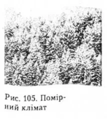погода