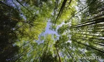 които обръщат превод руски