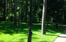 Влаштування рулонного газону газону