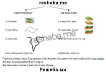 § 18. Рельєф дна Світового океану гори