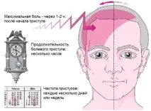 Болить голова в області потилиці причини, що робити голова