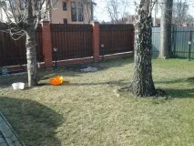 Влаштування рулонного газону газону