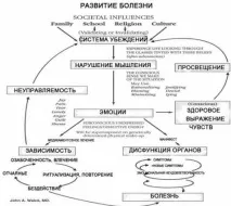 Болить голова в області потилиці причини, що робити області