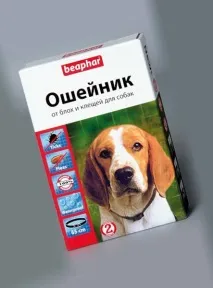 Блохи у собак блохи